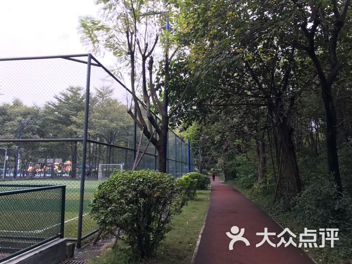 二沙岛体育公园-图片-广州周边游-大众点评网