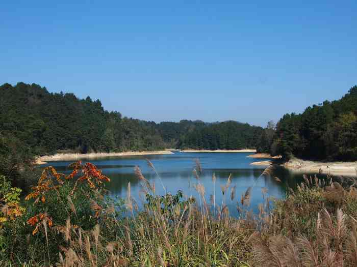 长顺杜鹃湖风景区