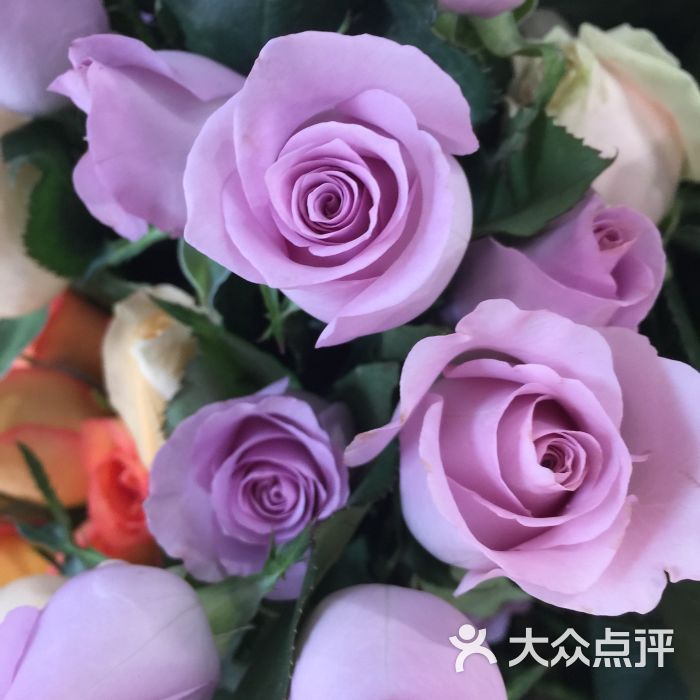 芙洛拉鲜花(鹭港店)图片 第12张