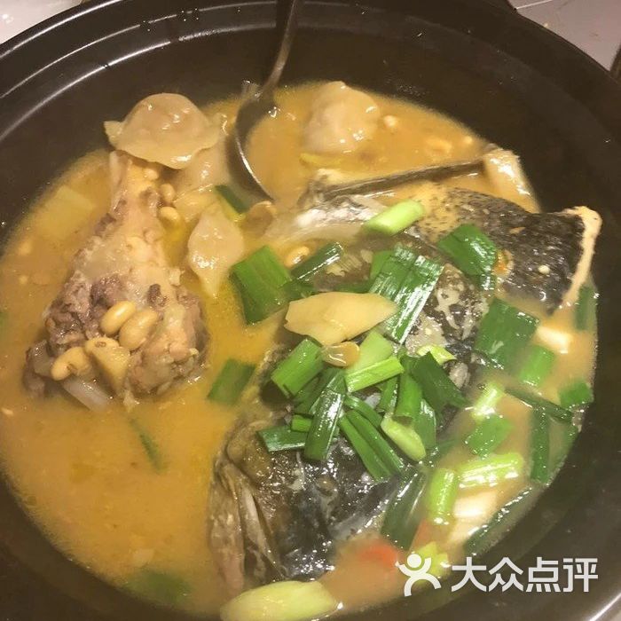 不良的孢子           shinyshaneyo           dpuser