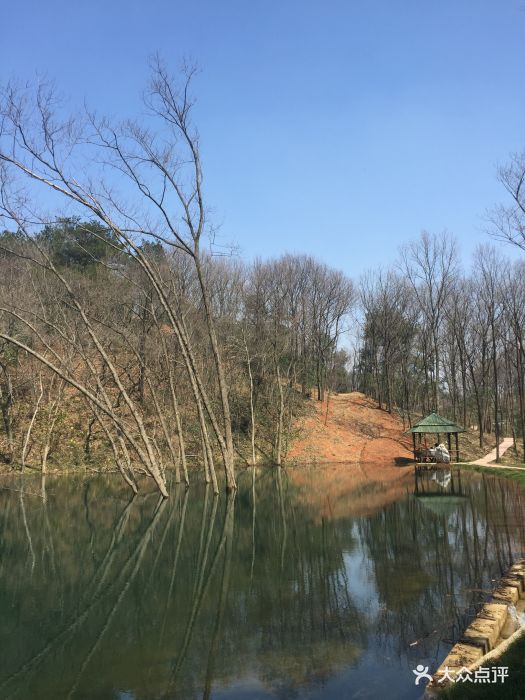 丫髻山晶阳山庄钓鱼点-图片-溧阳休闲娱乐-大众点评网