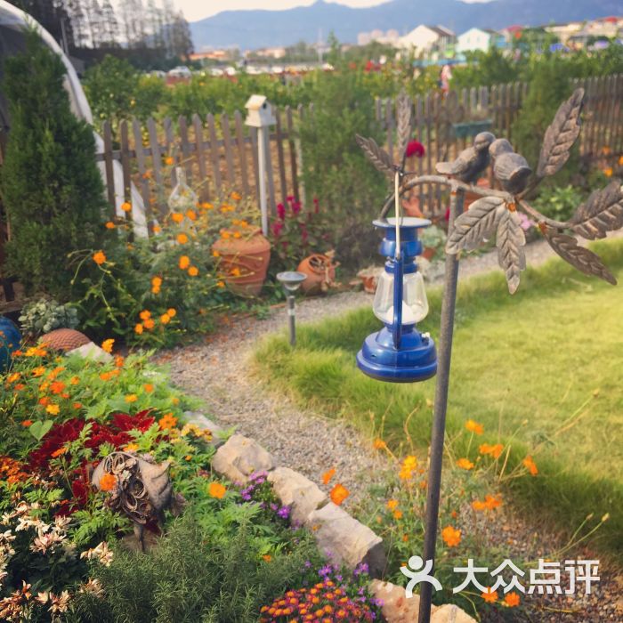 七都花空间-图片-温州休闲娱乐-大众点评网