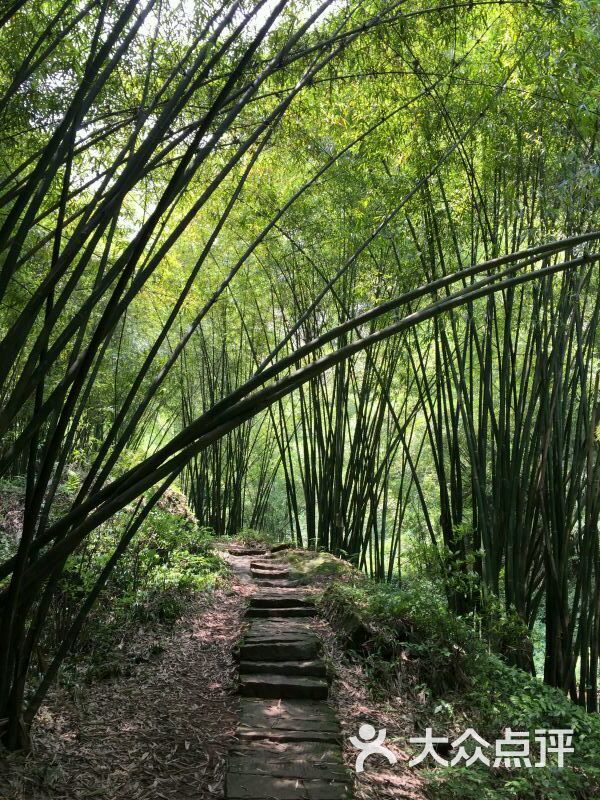 川西竹海峡谷自然景区(金鸡谷)-图片-成都周边游-大众