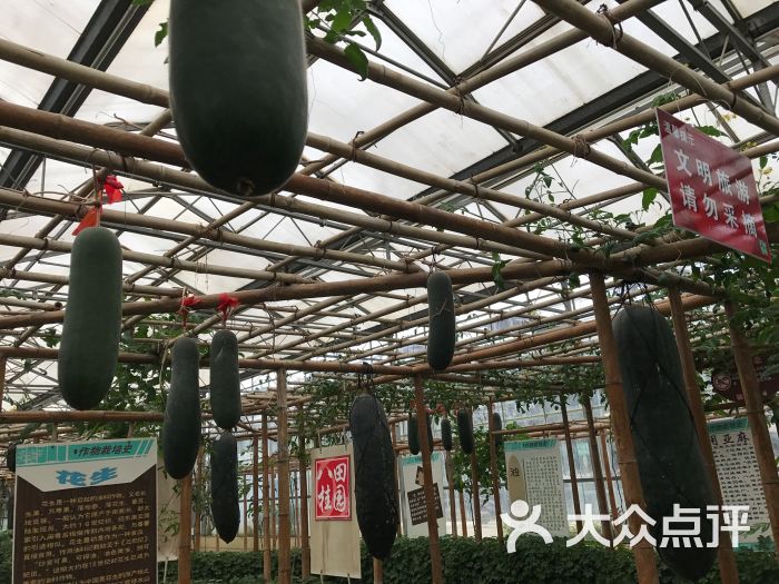 八桂田园图片 第66张