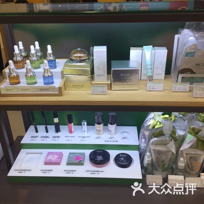 樊文花