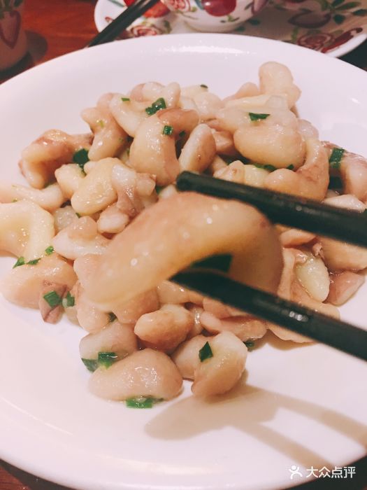 小葱南湖菱