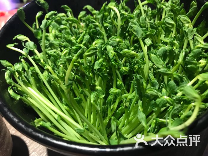 小辉哥火锅(大悦城店)豌豆苗图片 - 第41张