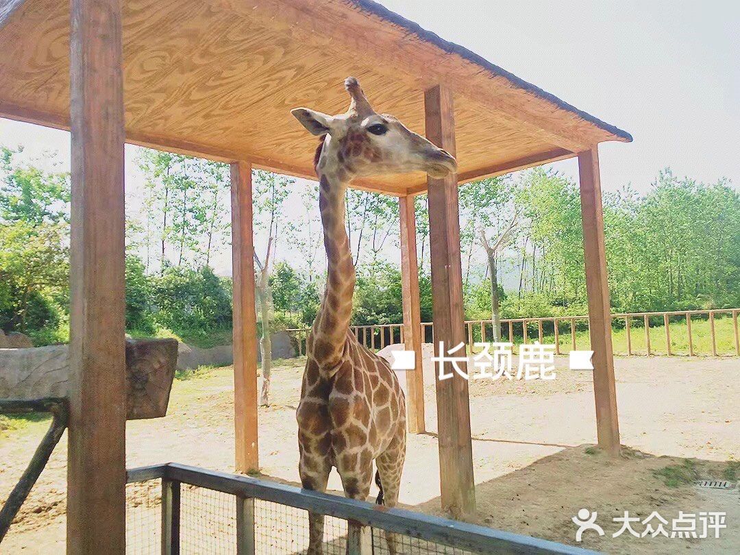 杭州野生动物世界