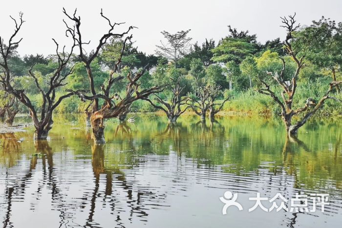 鹤之洲湿地公园图片 - 第5张