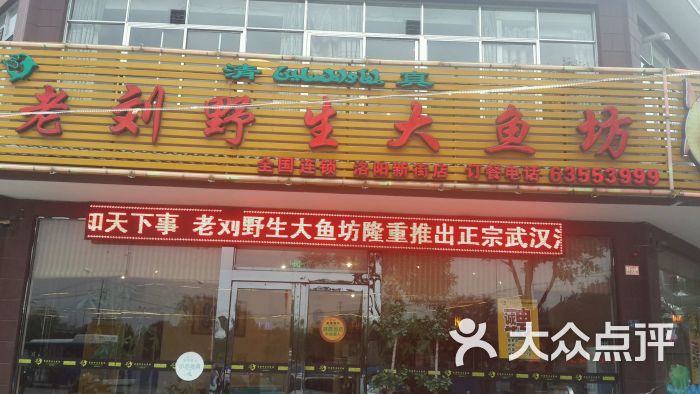 老刘野生大鱼坊(新街店)图片 第2张