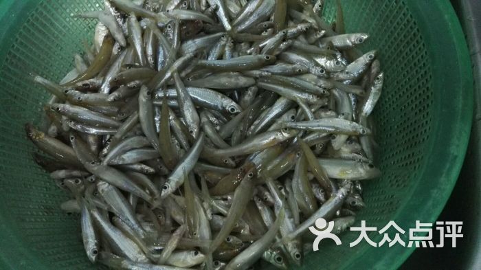 老炳农家菜饭店蒜苗炒溪鱼虾图片 - 第110张