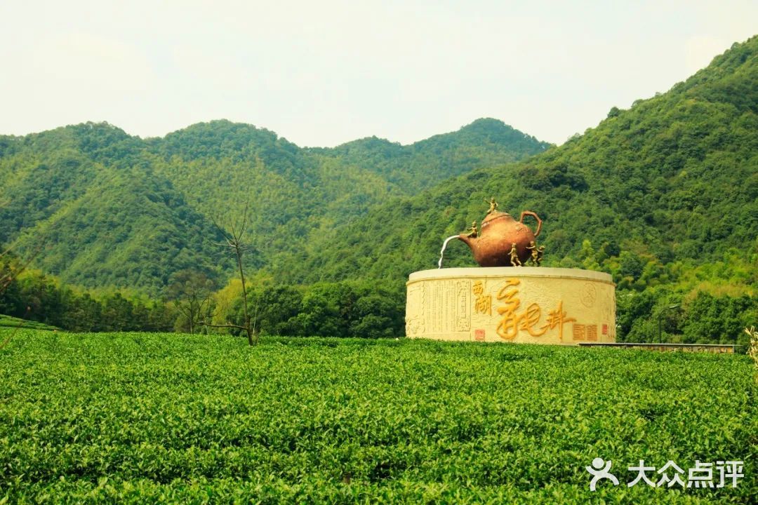 龙井茶西湖龙井龙井茶分西湖钱塘越州三大产地