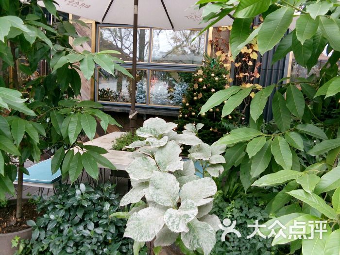 THE BEAST野兽派(大慈寺太古里店)-图片-成都