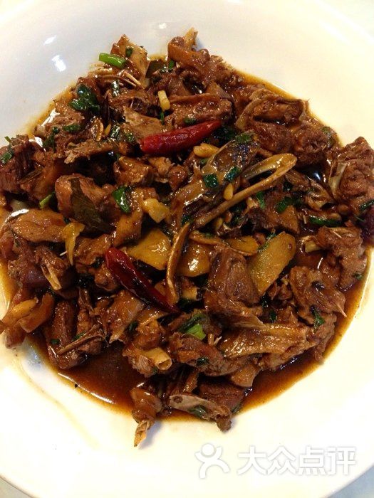 红烧野鸭