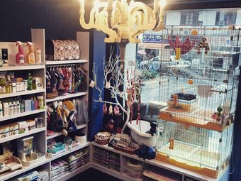  "Cimarron Pet Salon: The Ultimate Destination for Your Furry Friends' Grooming Needs"