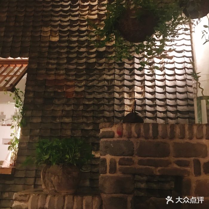 瓦库10号(绿地店-图片-西安美食-大众点评网
