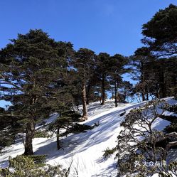 【洗马潭】电话,地址,价格,营业时间(图) - 大理