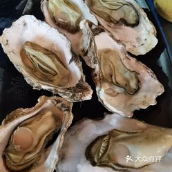 高压锅乳山生蚝