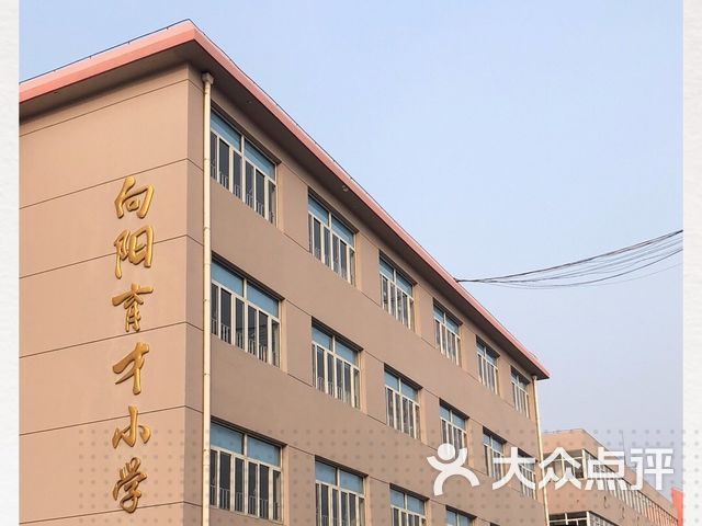 向阳育才小学