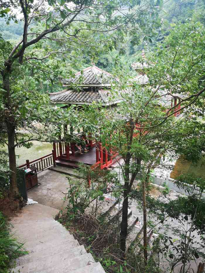 中坡国家森林公园-"9395简介: 中坡山森林公园是.