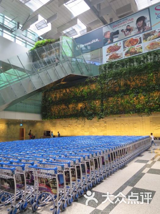 新加坡机场真的超大的,从t3走到t2走了都好.-