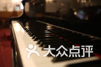 十大钢琴排名_钢琴图片唯美