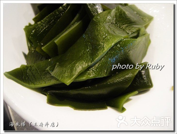 海底捞火锅(王府井in88店)海底捞(王府井店)57-海带特写图片 - 第6961