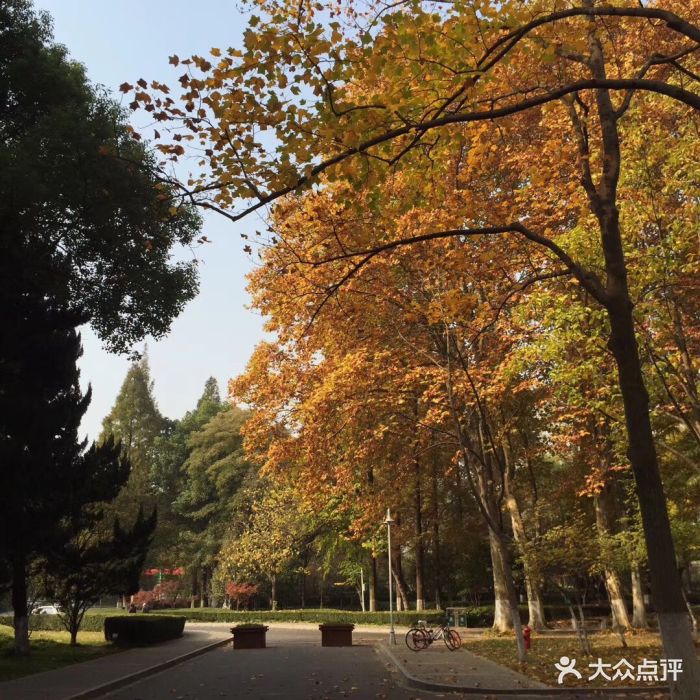 南京林业大学图片 - 第27张