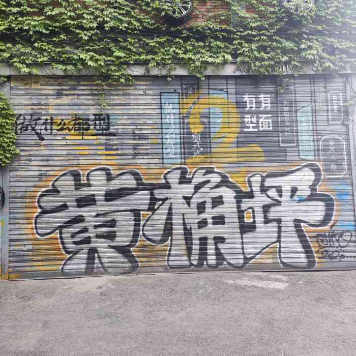 黄桷坪涂鸦艺术街-"作为重庆本地人,当然也要去打卡网