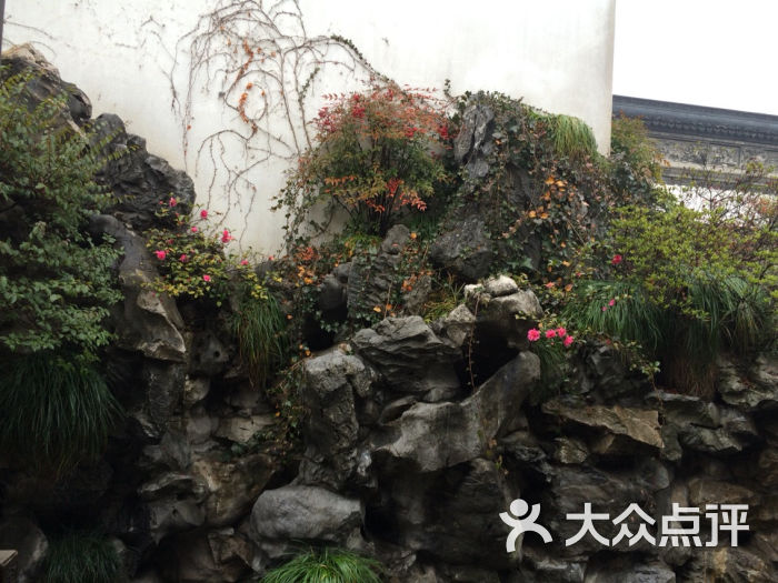 -嘟嘟嘟嘟嘟哒哒哒哒哒的图片-大众点评网