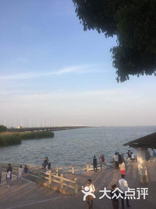 滆湖服务区停车场图片 - 第3张