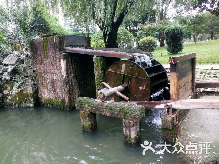 滕头生态旅游区-图片-奉化周边游-大众点评网