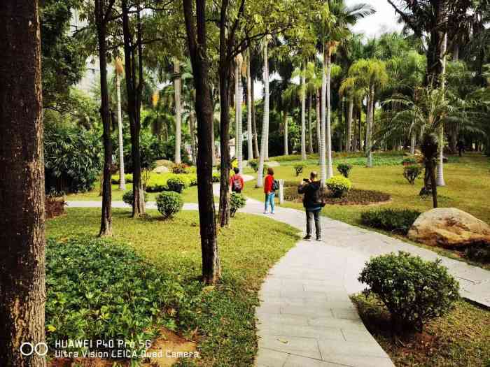 佛山市三水区大南山森林公园-"在三水区和四会交界处.