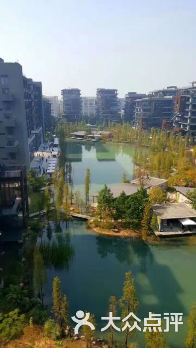 泰华梧桐岛-图片-深圳生活服务