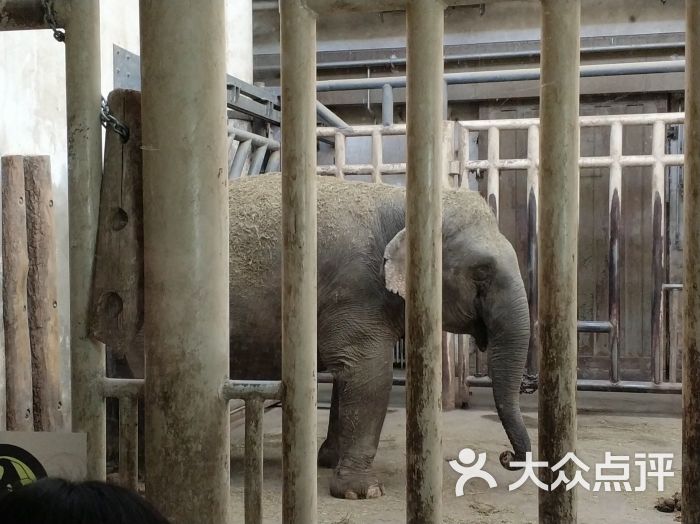 北京动物园图片 - 第1张