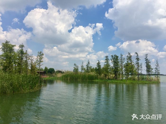 贡湖湾湿地公园图片 - 第3张