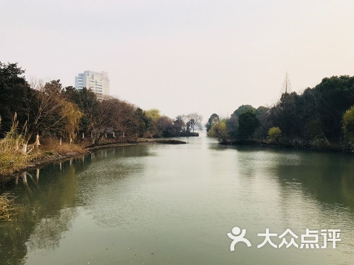 放鹤洲公园图片 第5张