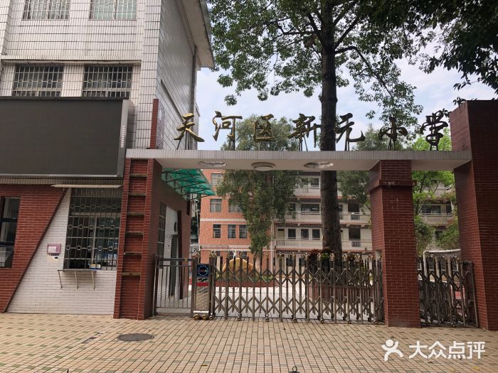 新元小学图片