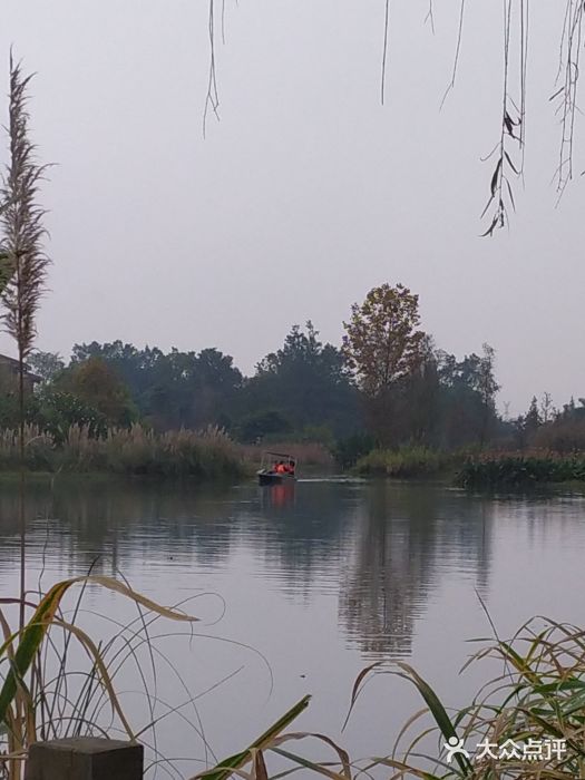 温江水立方湿地公园图片