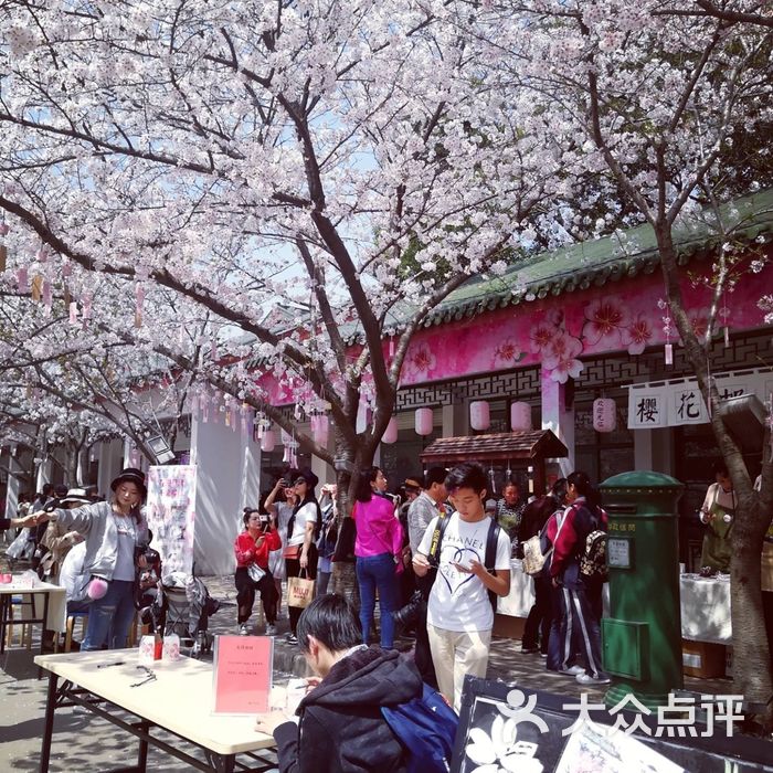 樱花邮局