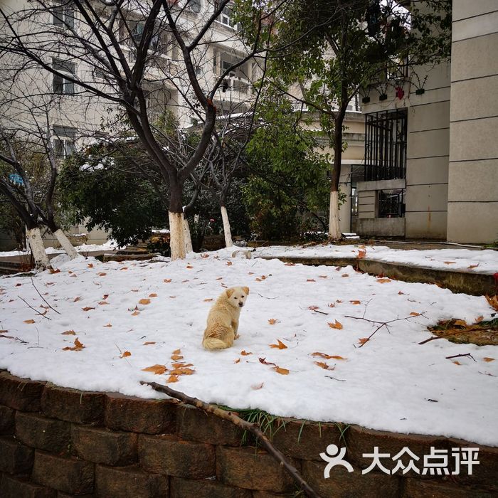 南京工业大学东苑一食堂