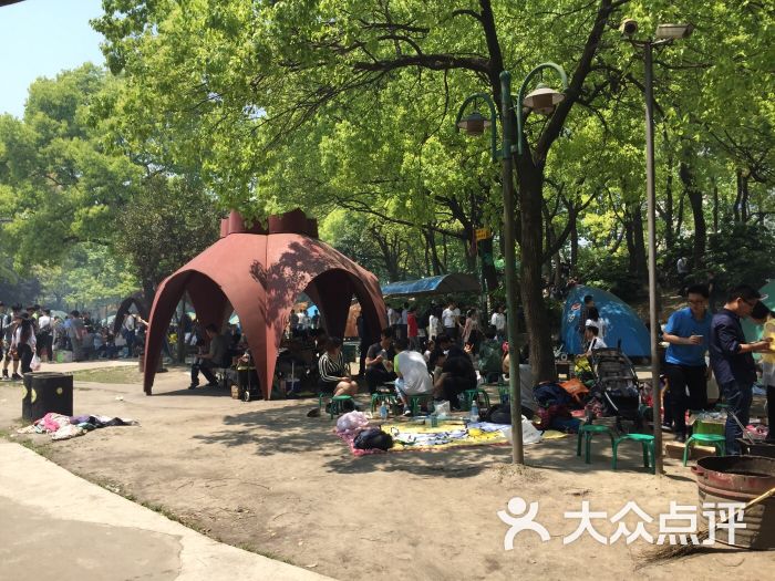 共青森林公园烧烤区-图片-上海美食-大众点评网