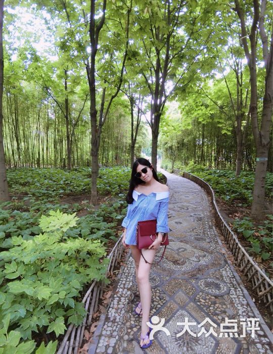 月坛公园-图片-北京周边游-大众点评网