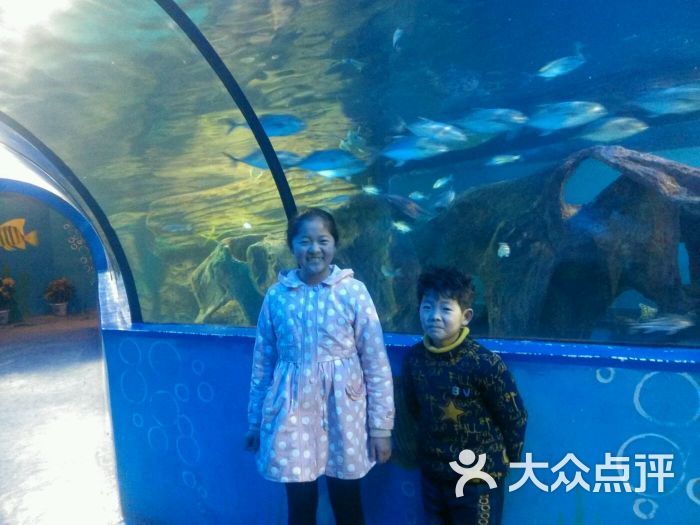 人民公园海洋馆图片 - 第12张