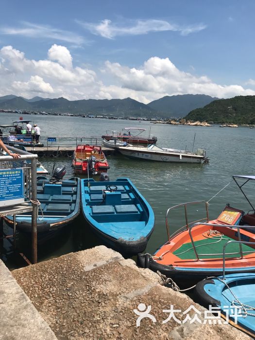 海上老陈鱼排餐厅-图片-深圳美食-大众点评网