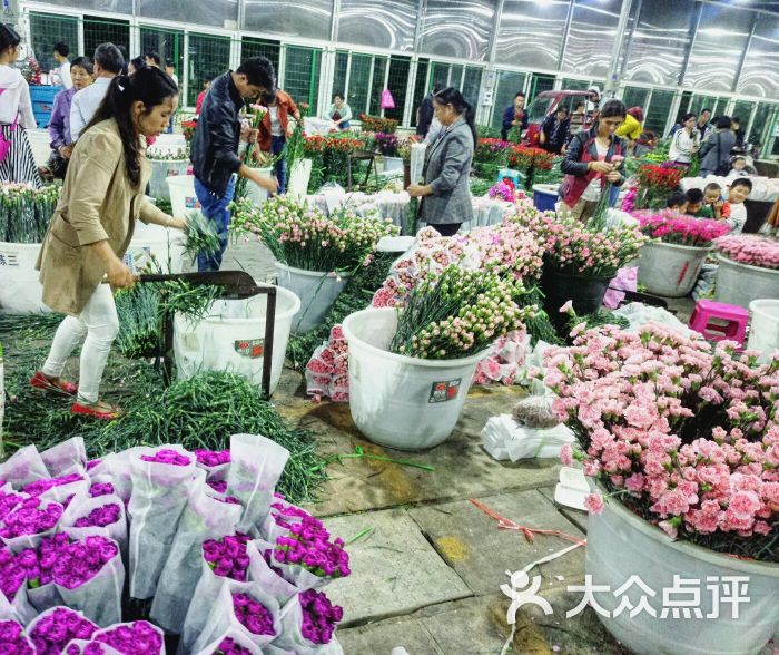 斗南花卉市场图片 - 第7张