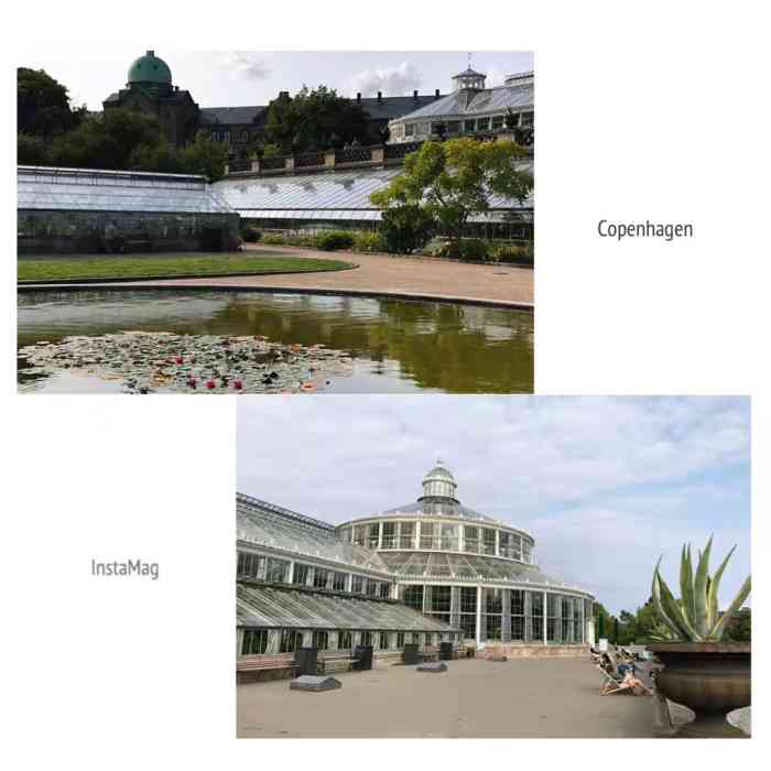 植物园-"哥本哈根植物园属于哥本哈根大学辖下的自然.