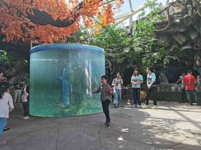 三峡海洋世界"海洋动物和生物还是比较多,有3层楼 2.