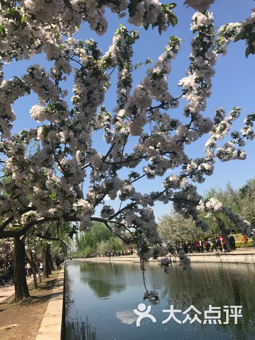 海棠花溪景点图片 - 第1张