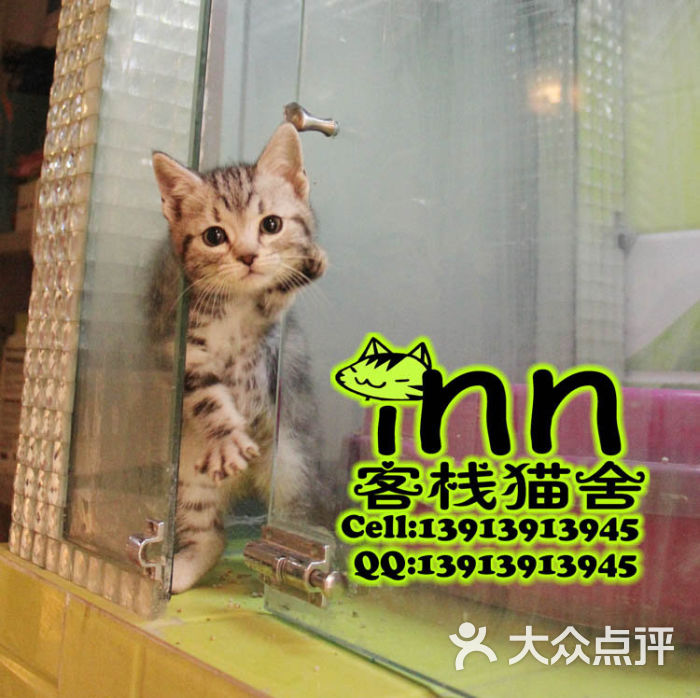 玉兰油天猫官方旗舰店是正品吗-天猫 玉兰油官